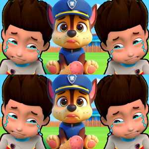 Cartoon Animals Body Matching