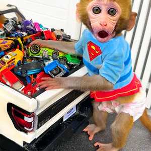 Driving MadnessDB Boy's Journey