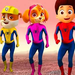 Örümcek - Paw Patrol Maceraları