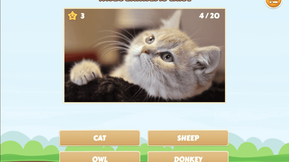 Animals Quiz