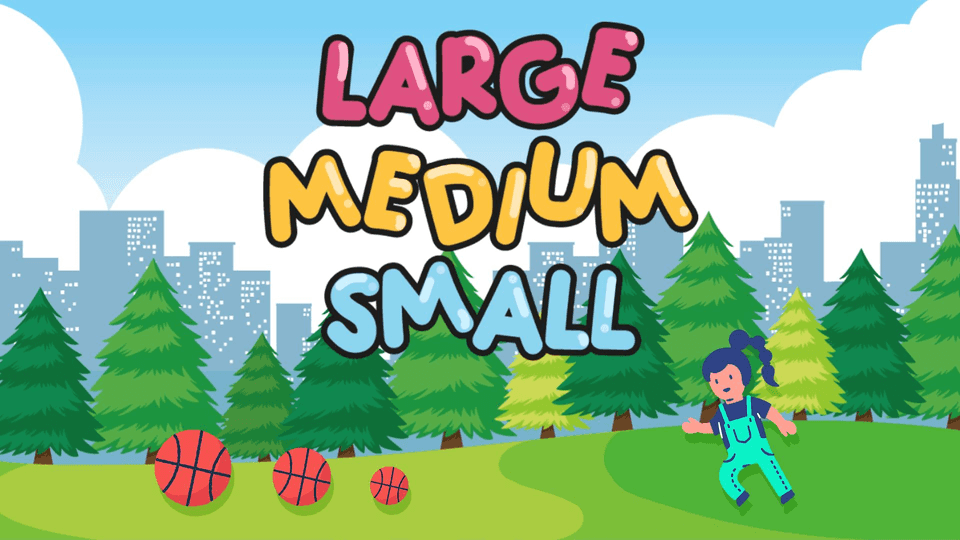Large Medium Small